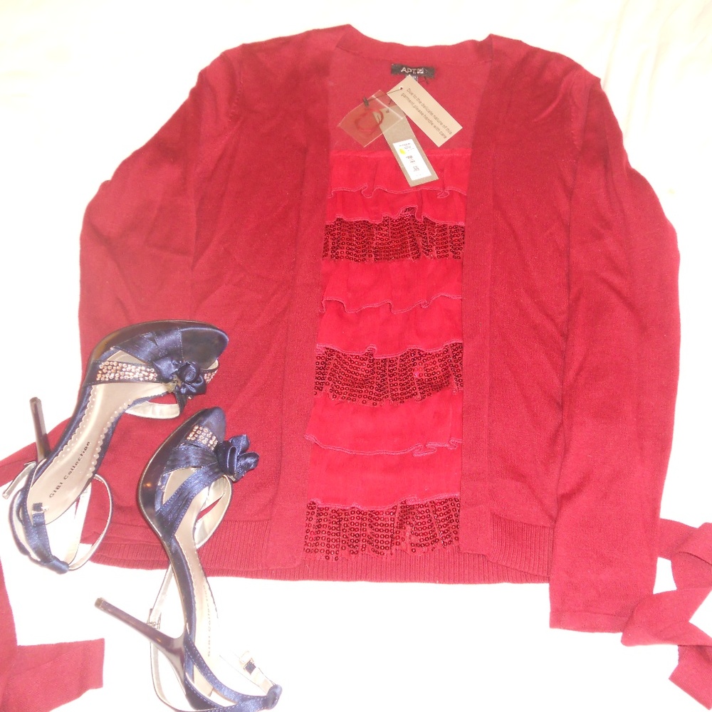 Gorgeous Long Sleeve Top (Dressy/Casual) NWT. PXS